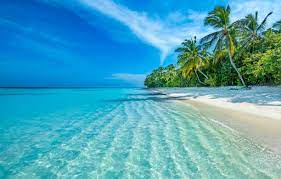 Holiday Packages